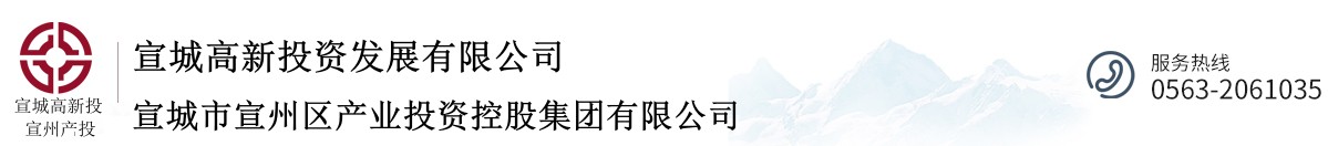 宣城高新投资发展有限公司